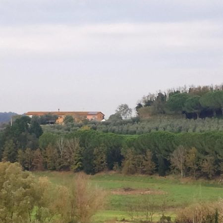 Agriturismo L'Isola Crespina Exteriér fotografie