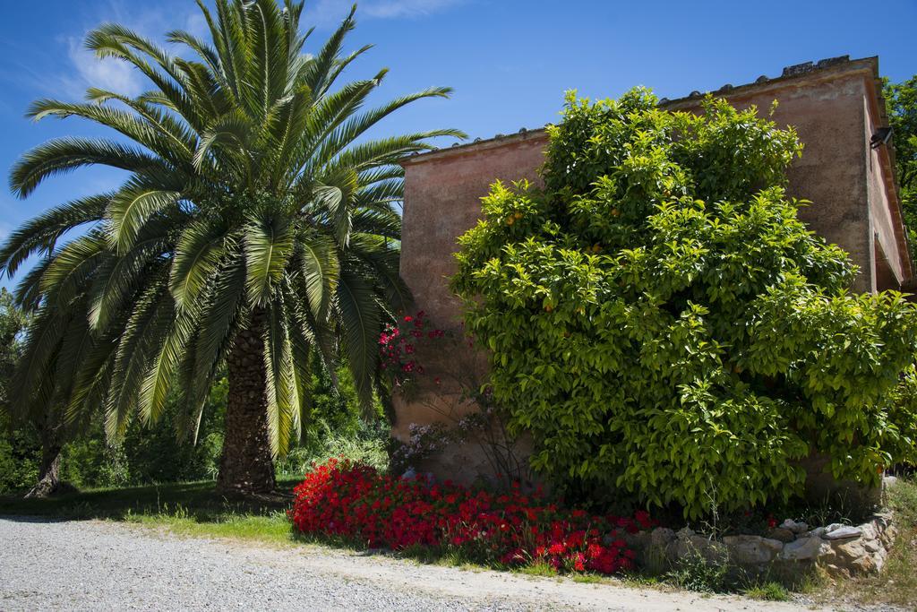 Agriturismo L'Isola Crespina Pokoj fotografie