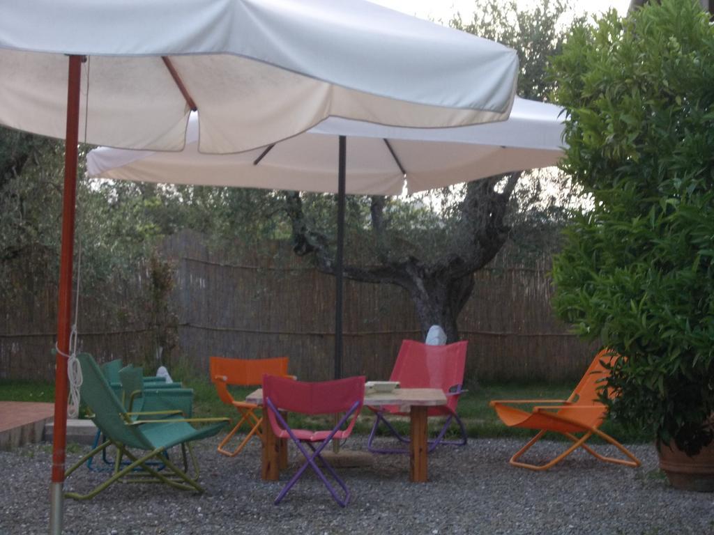 Agriturismo L'Isola Crespina Pokoj fotografie