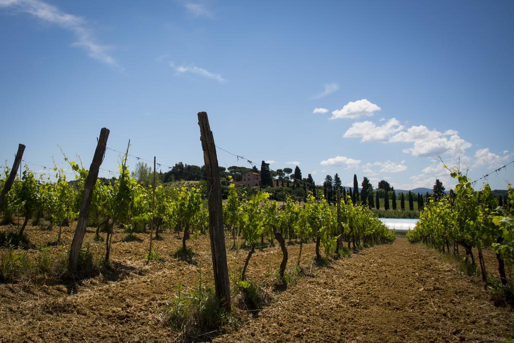 Agriturismo L'Isola Crespina Exteriér fotografie
